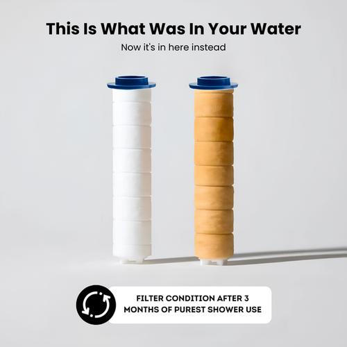 THE FILTERED SHOWERHEAD